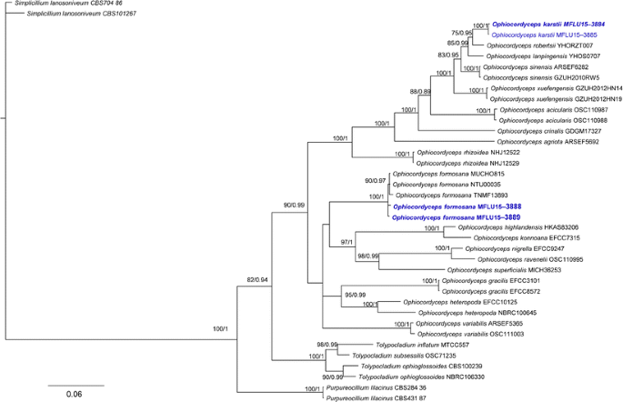 Fungal Diversity Notes 253 366 Taxonomic And Phylogenetic Contributions To Fungal Taxa Springerlink