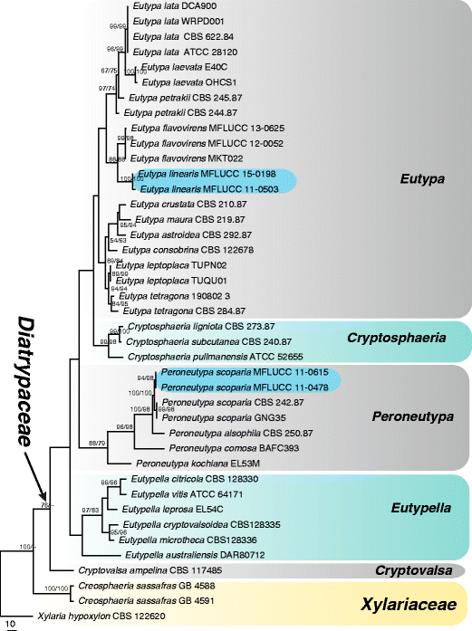 figure 50