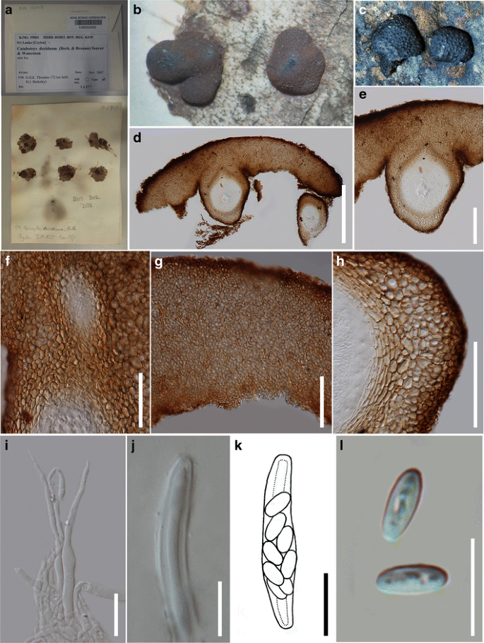 figure 24