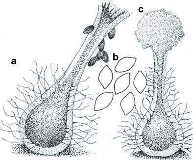 figure 30