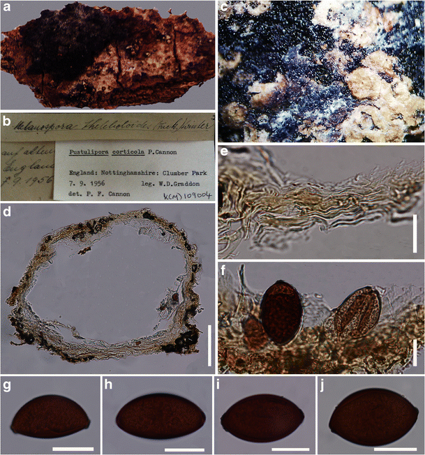 figure 32