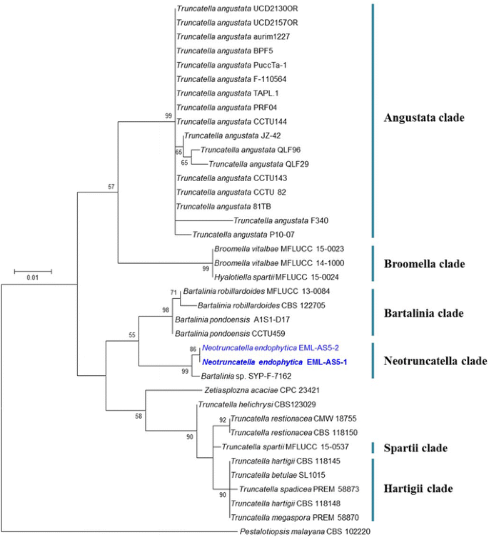 figure 132