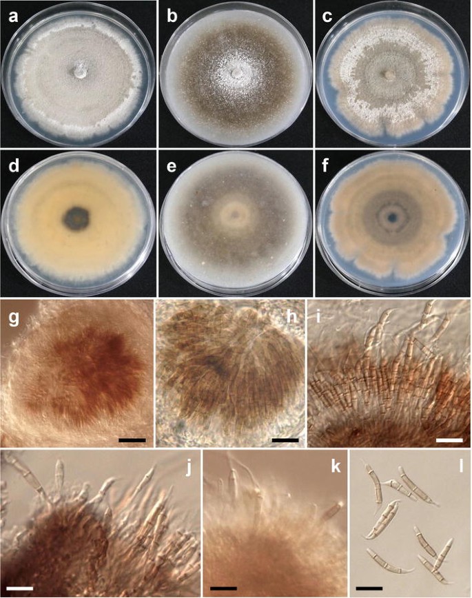 figure 133