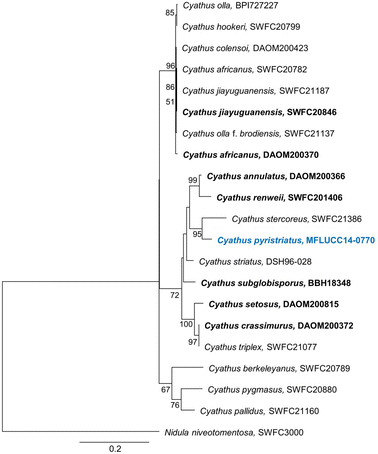 figure 165