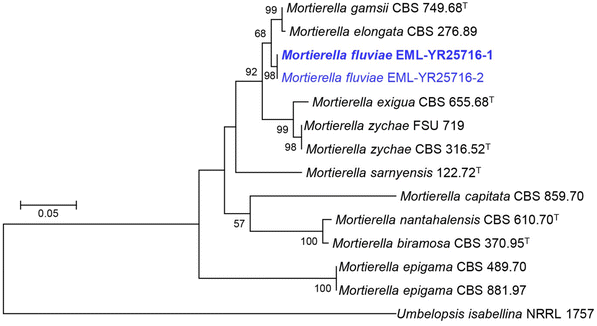 figure 179