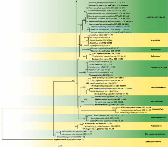 figure 17