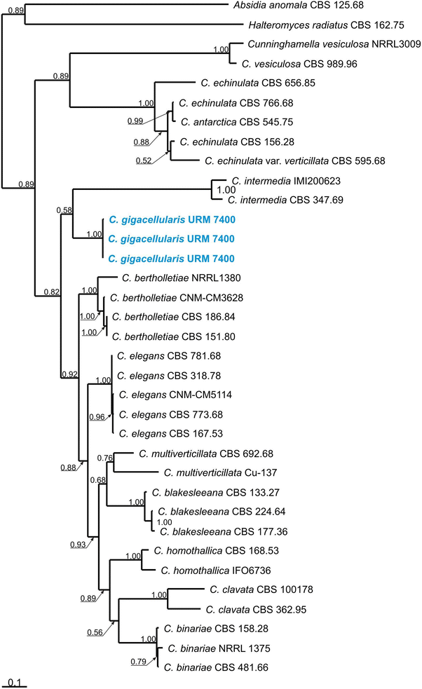 figure 182