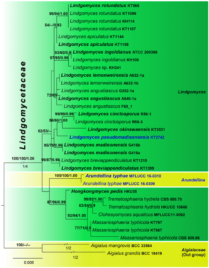 figure 34