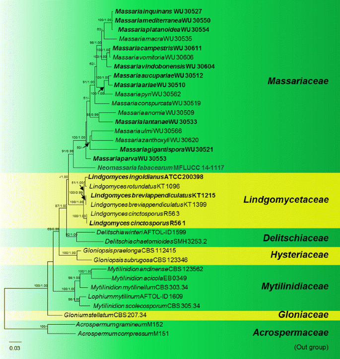 figure 43