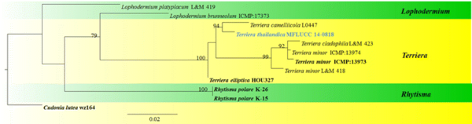 figure 94