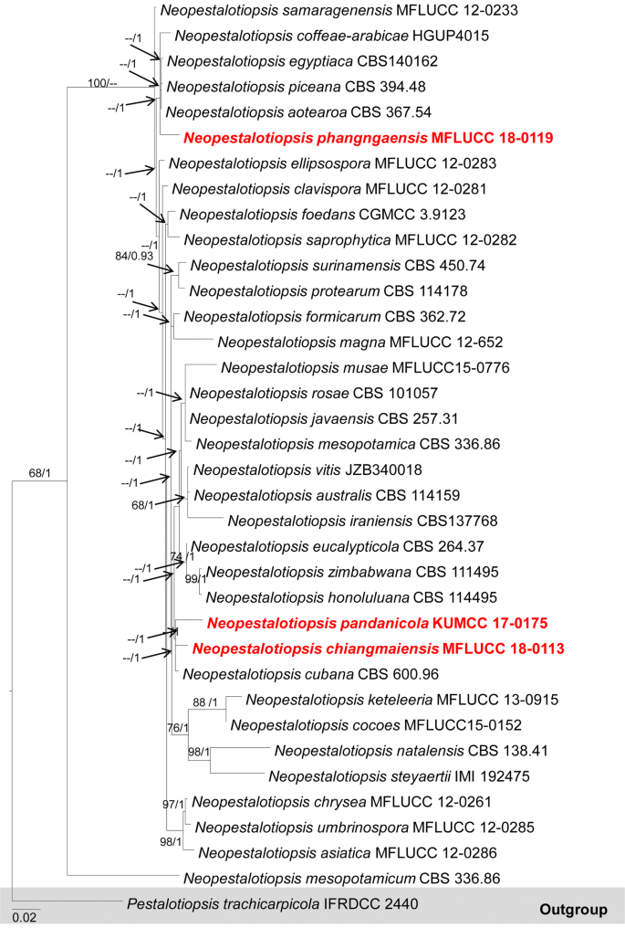 figure 105