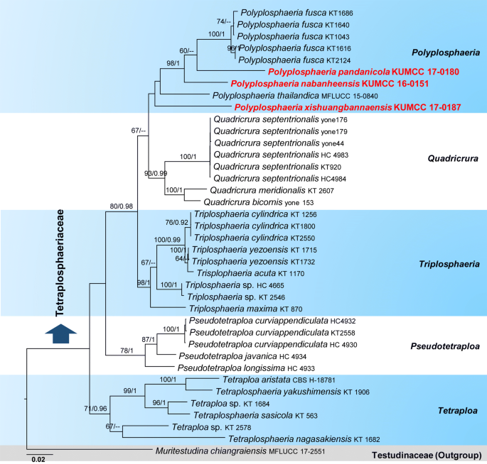 figure 29