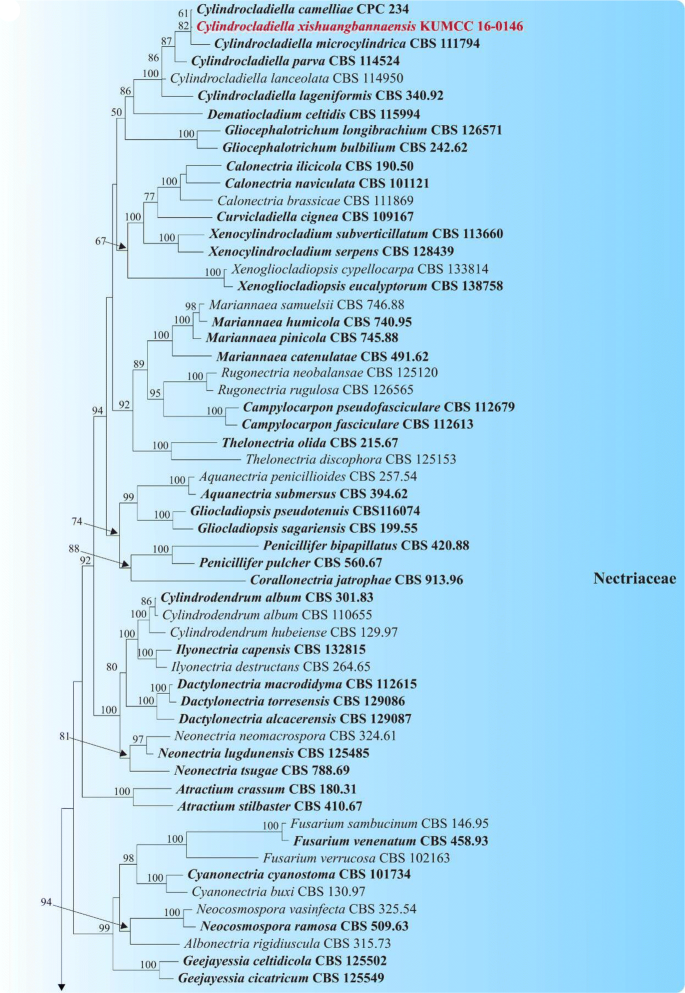 figure 73