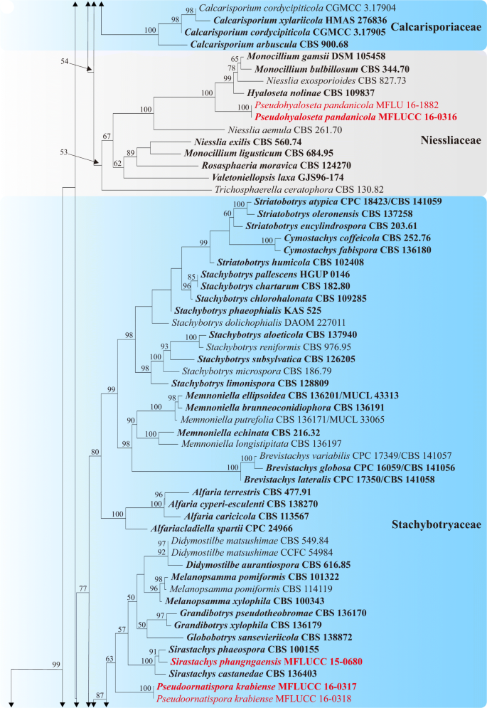 figure 73