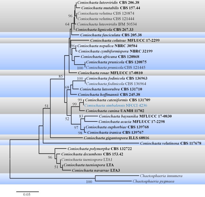 figure 103