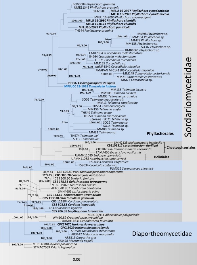 figure 105