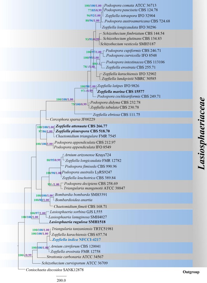 figure 107