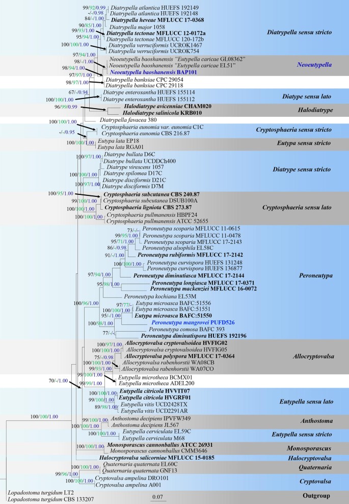 figure 114