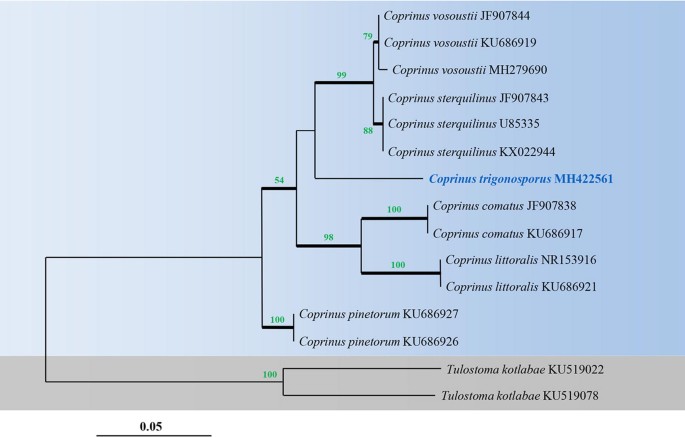 figure 122