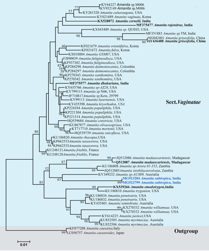 figure 131