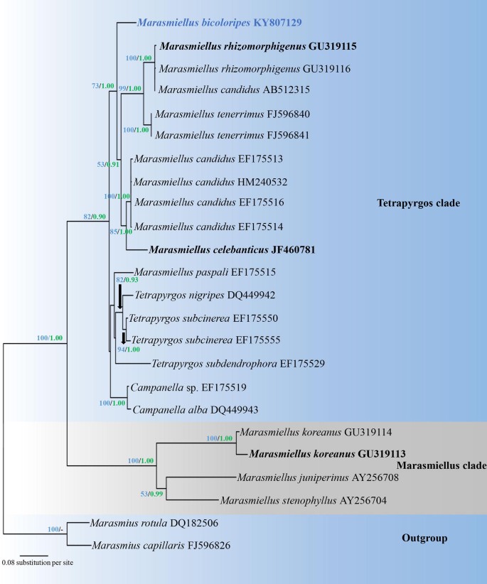 figure 138