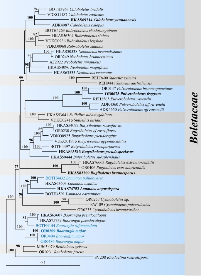 figure 143