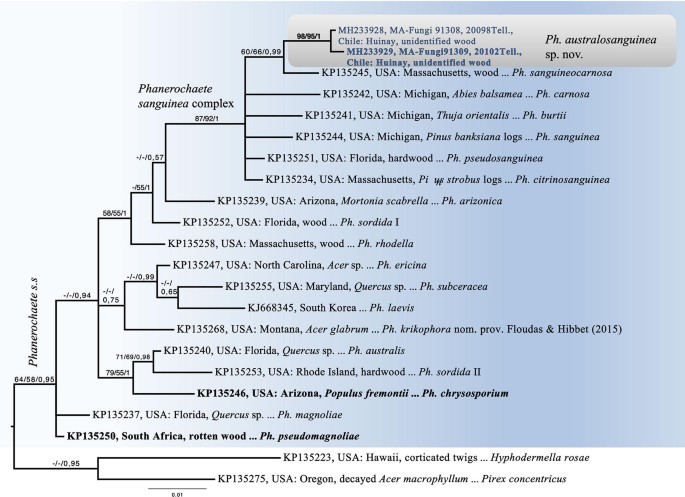 figure 151