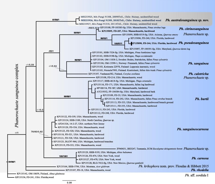 figure 152