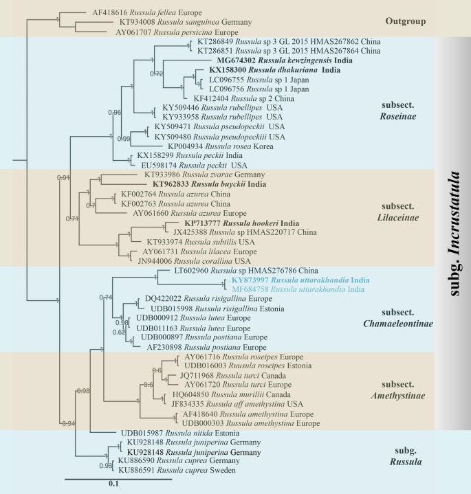 figure 162