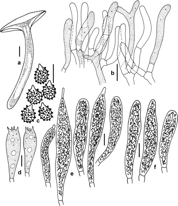 figure 164