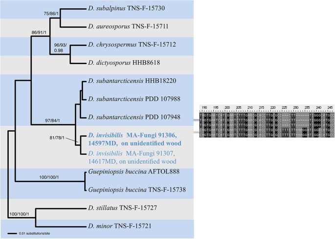 figure 174