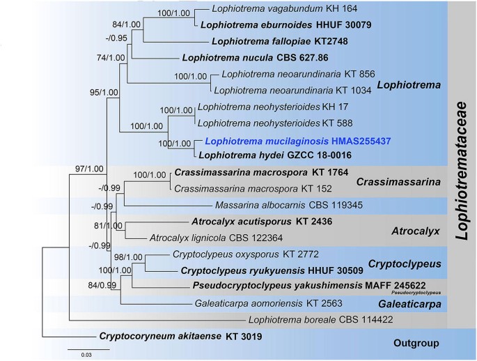 figure 20