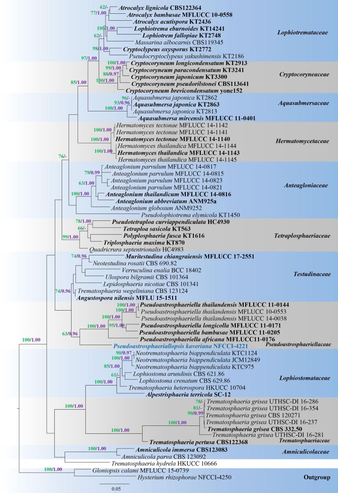 figure 37