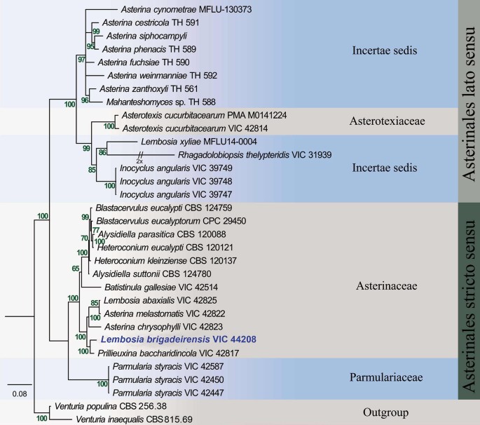 figure 46