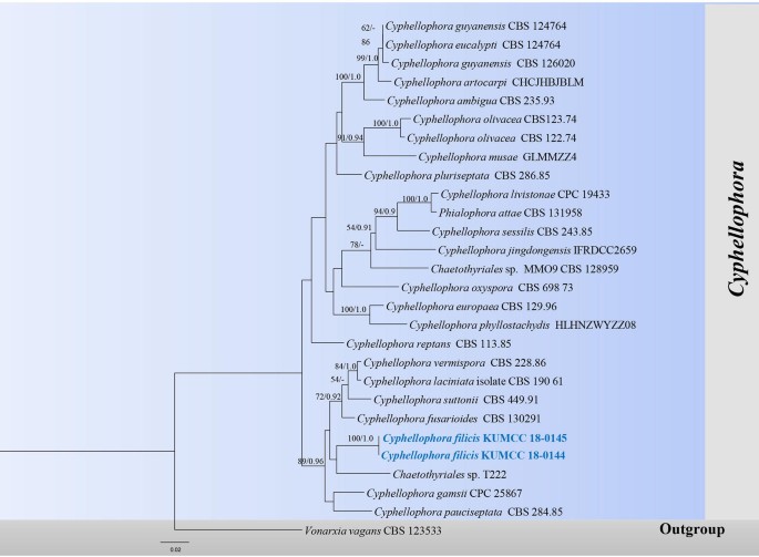 figure 59