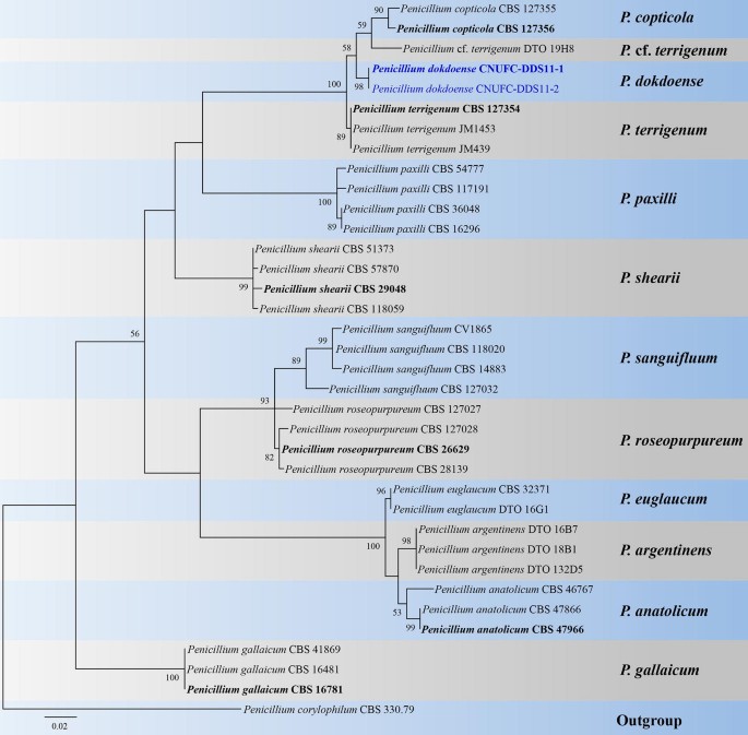 figure 63