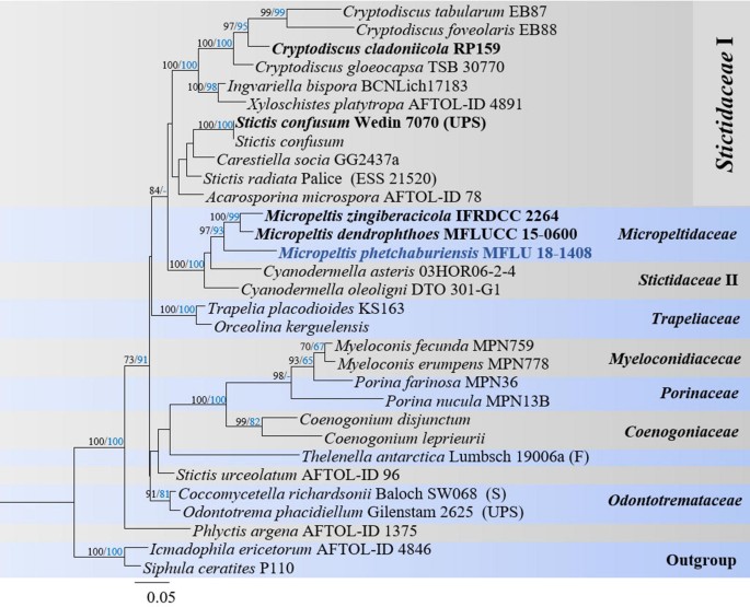 figure 65