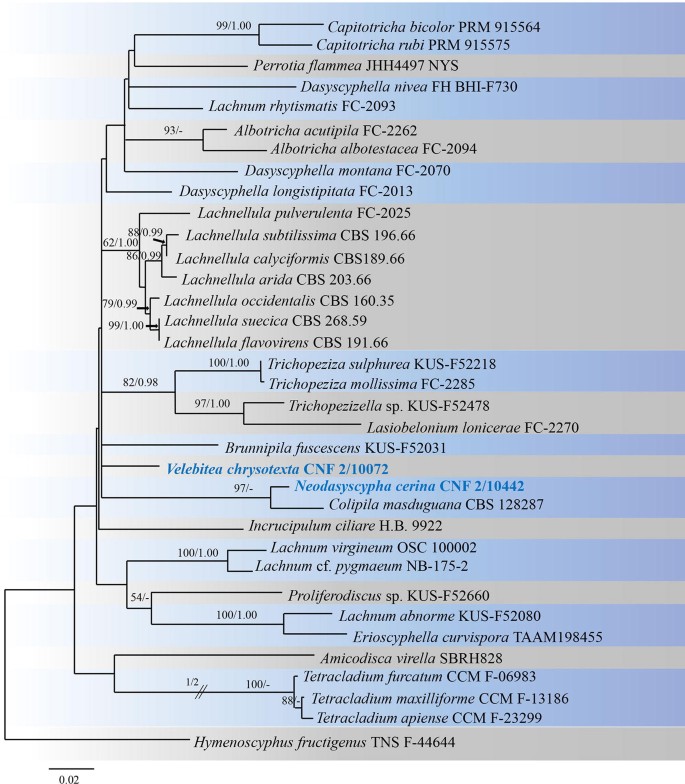 figure 67