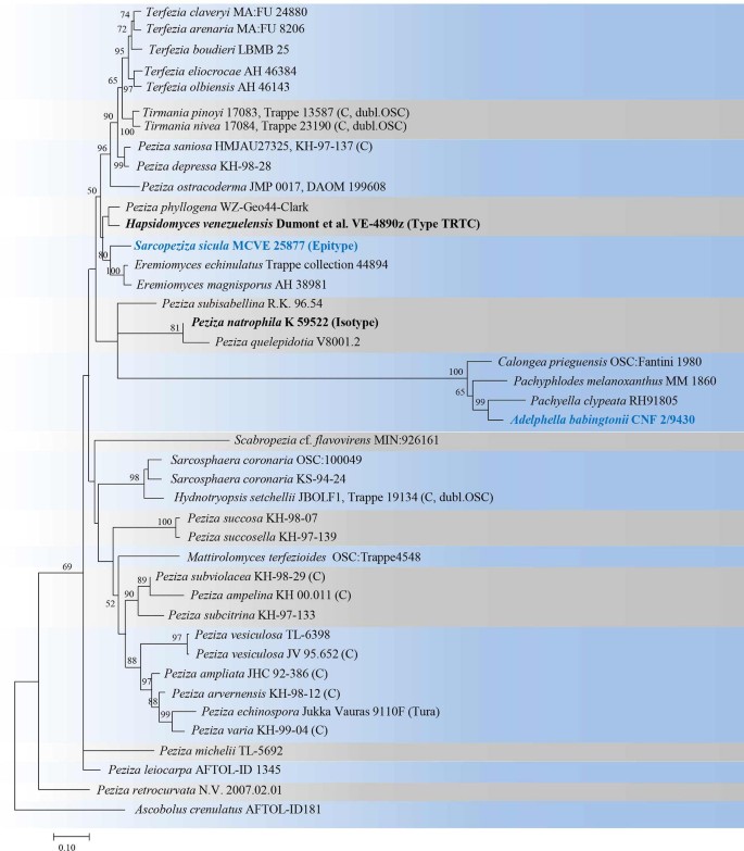 figure 73