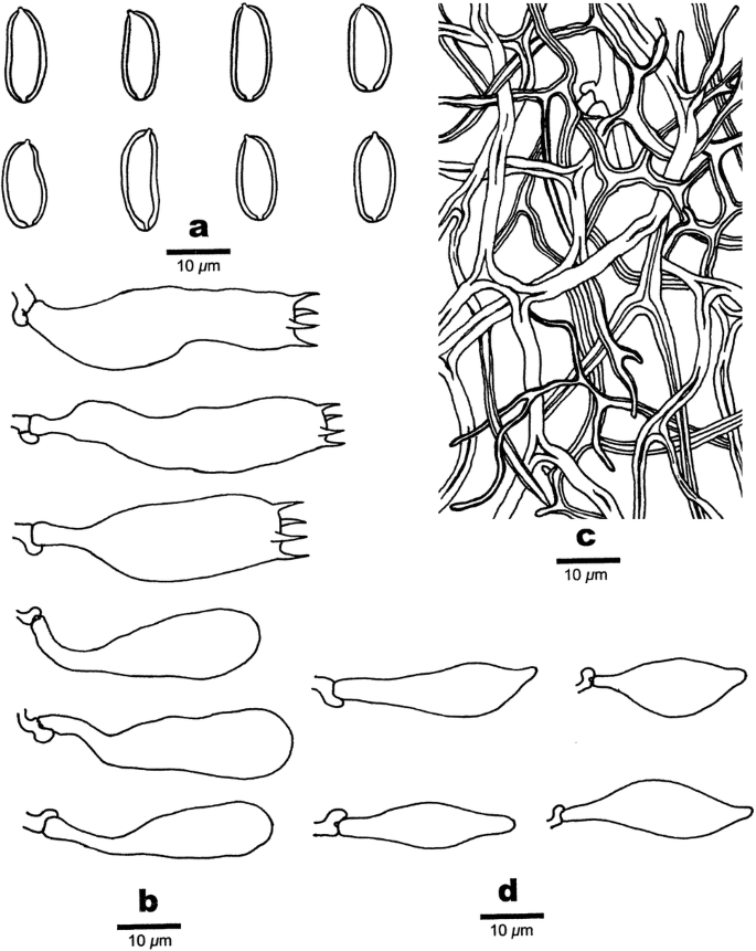 figure 113