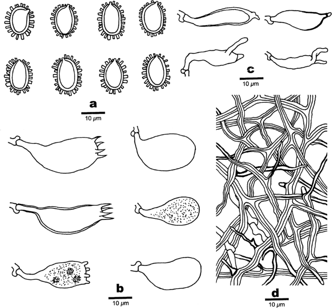 figure 119