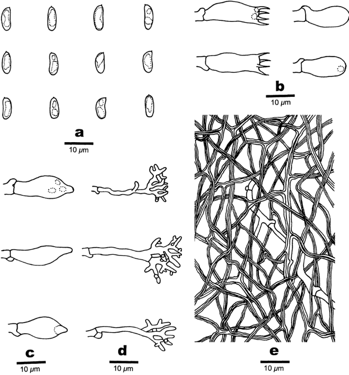 figure 193