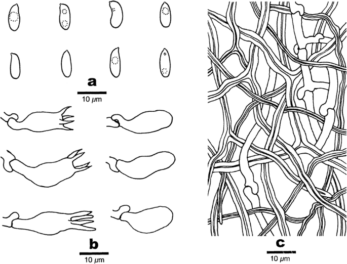 figure 197