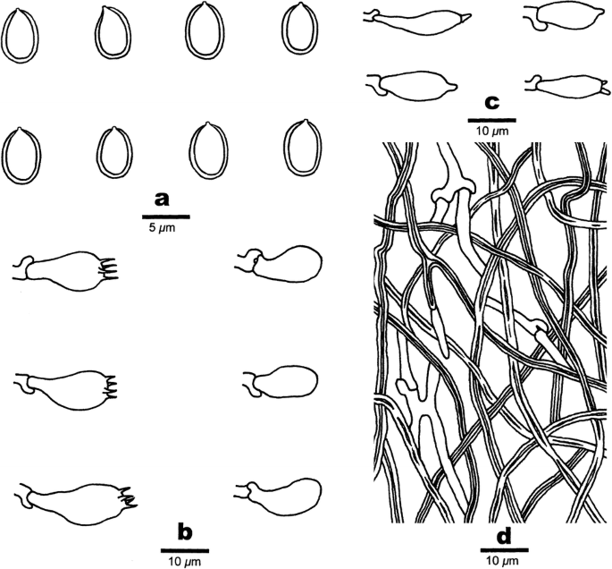 figure 213