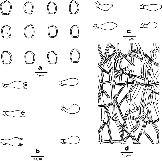 figure 217