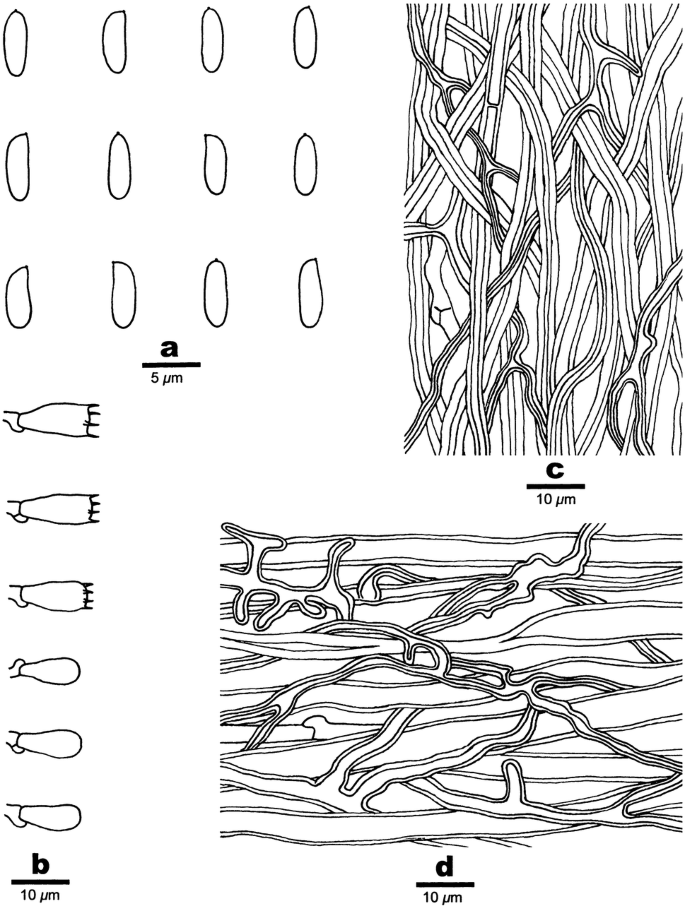 figure 21