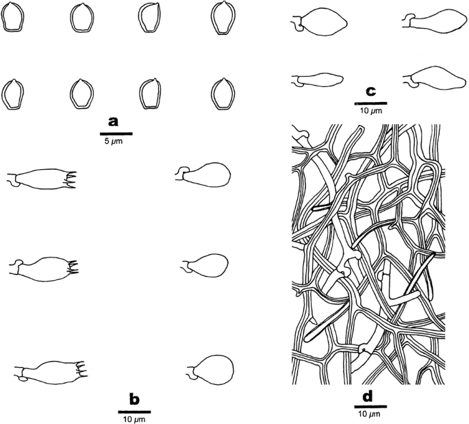 figure 249