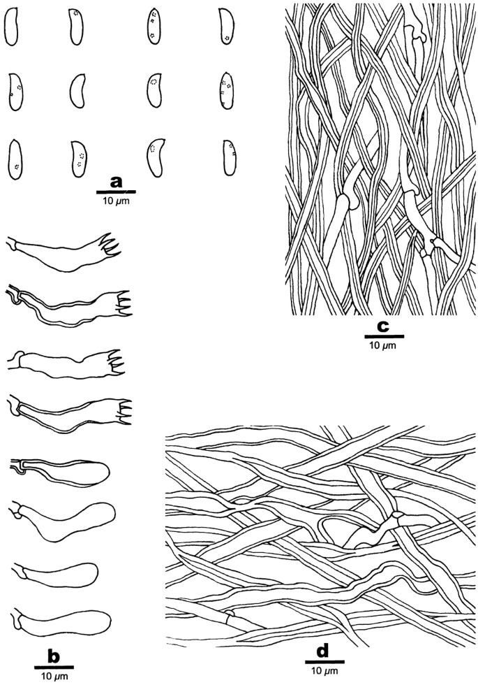 figure 29