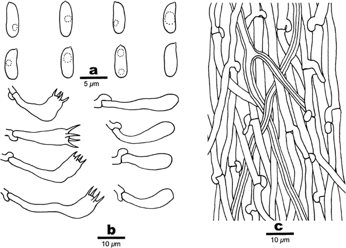 figure 323