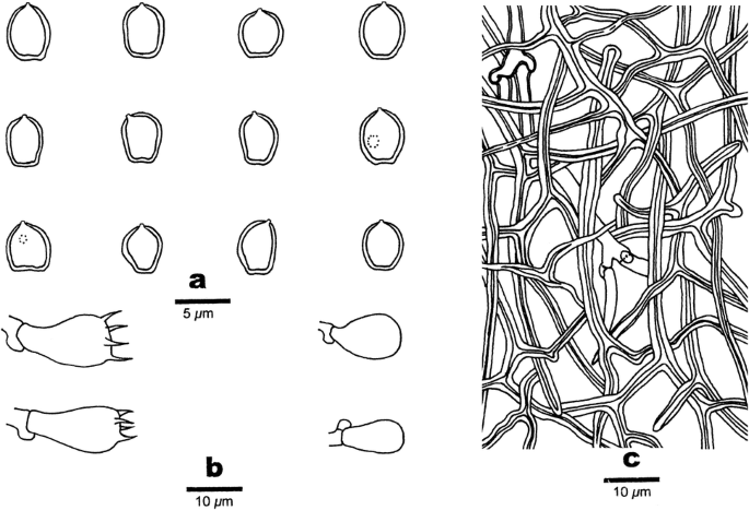 figure 341